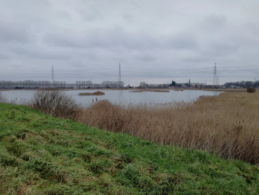 Plains of Zwijndrecht, Antwerp (Belgium)